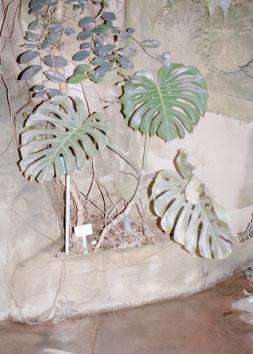 © Beatriz de Souza Lima © Beatriz de Souza Lima