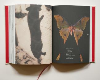 365, l'almanach manifest © PLY