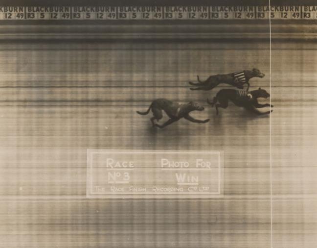 Anonyme Photo-finish d'une course de lévriers Vers 1937 Collection musée Nicéphore Niépce 