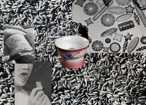 © Prune Phi, "Bottoms up", photographie numérique, 2025 Iconographie / collections musée Nicéphore Niépce