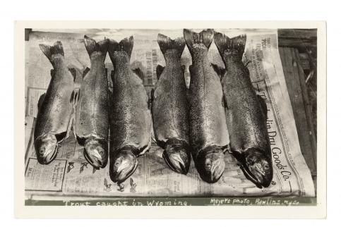 Hunters with Muskrat Pelts Tipton, Indiana, USA 11 novembre 1923 © collection privée – AMC