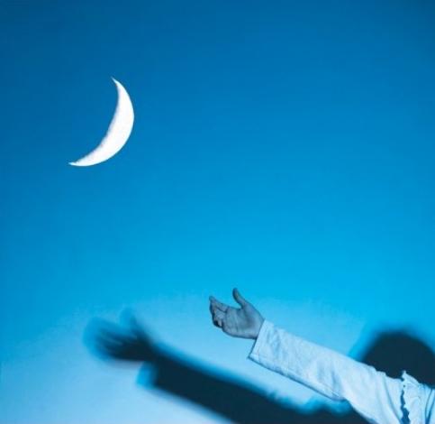 Photographie réalisée par une élève de CM1/CM2, atelier avec la photographe Louise  Allavoine, école Jean Lurçat, 2025