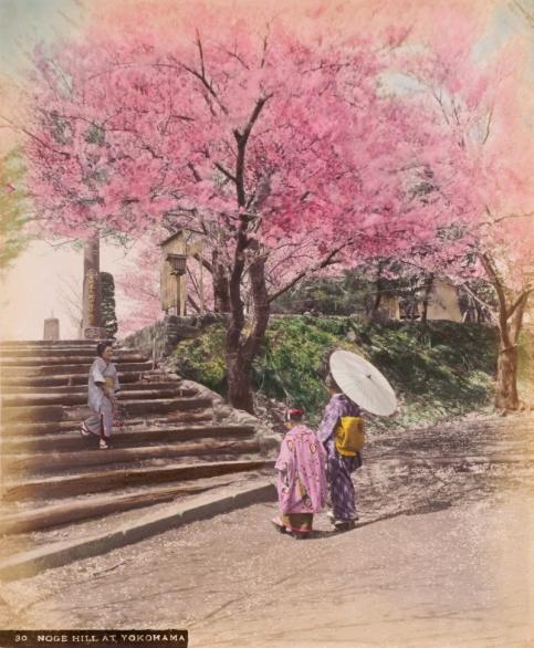  Anonyme – Atelier de Kusakabe Kimbei 80 NOGE HILL AT YOKOHAMA  Vers 1885-1895 papier albuminé aquarellé